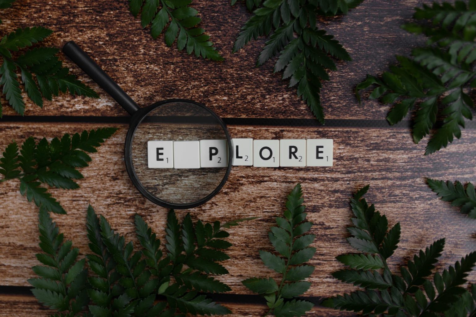 Cubes in row with magnifier and fern leaves